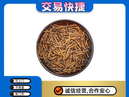 齐齐哈尔碾子山区回收散虫草